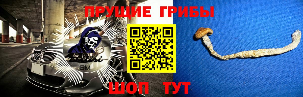 Псилоцибиновые грибы мицелий Сухой Лог